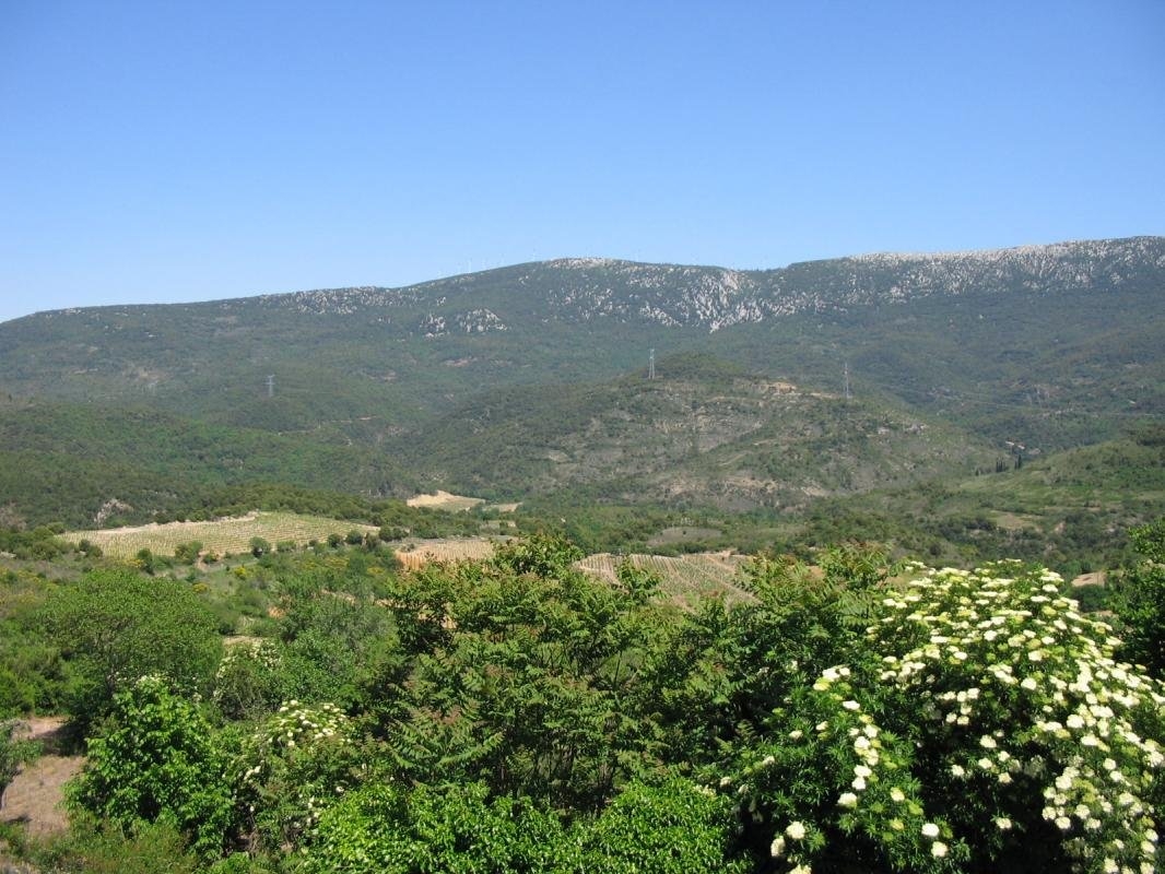 Sudfrance.fr - Chasse au sanglier dans les Hautes Corbières : week-end nature et tradition