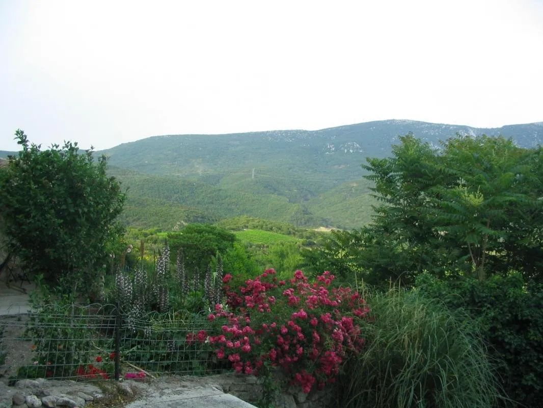 Sudfrance.fr - Wild boar hunting in the Hautes Corbières