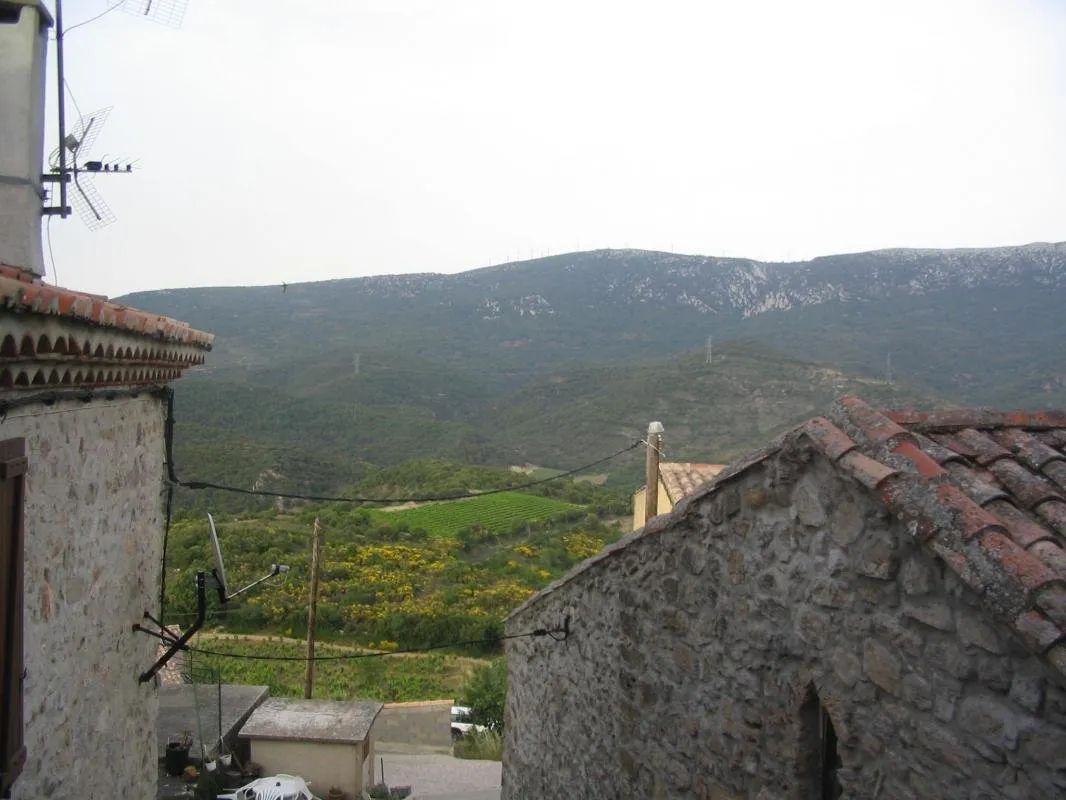 Sudfrance.fr - Wild boar hunting in the Hautes Corbières
