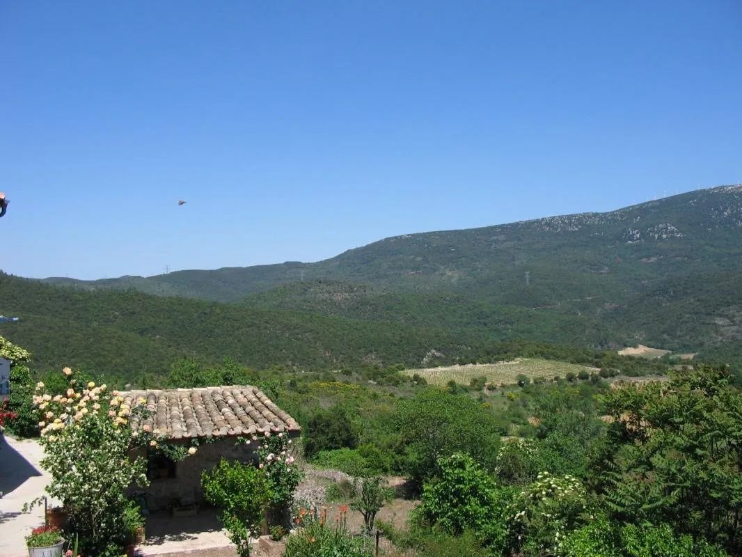 Sudfrance.fr - Wild boar hunting in the Hautes Corbières