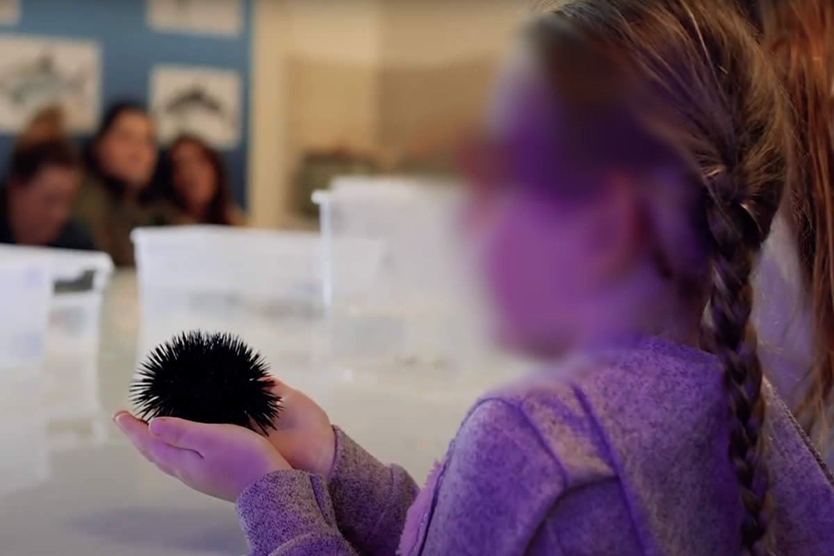 Sudfrance.fr - Aquarium Oniria, découverte ludique de la biodiversité marine