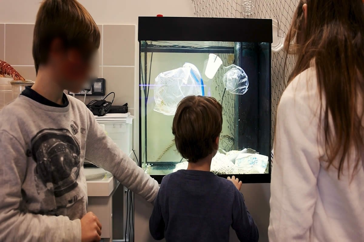 Sudfrance.fr - Aquarium Oniria, découverte ludique de la biodiversité marine