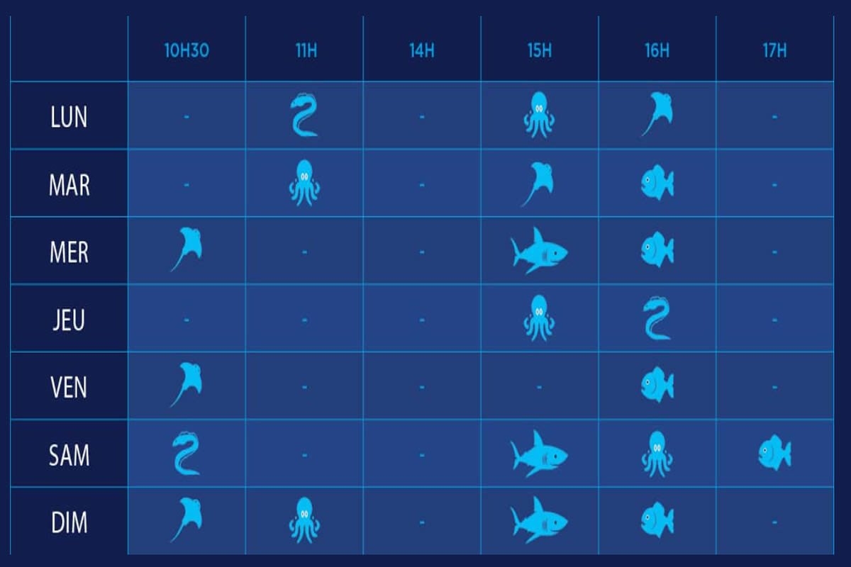 Sudfrance.fr - Aquarium Oniria, découverte ludique de la biodiversité marine