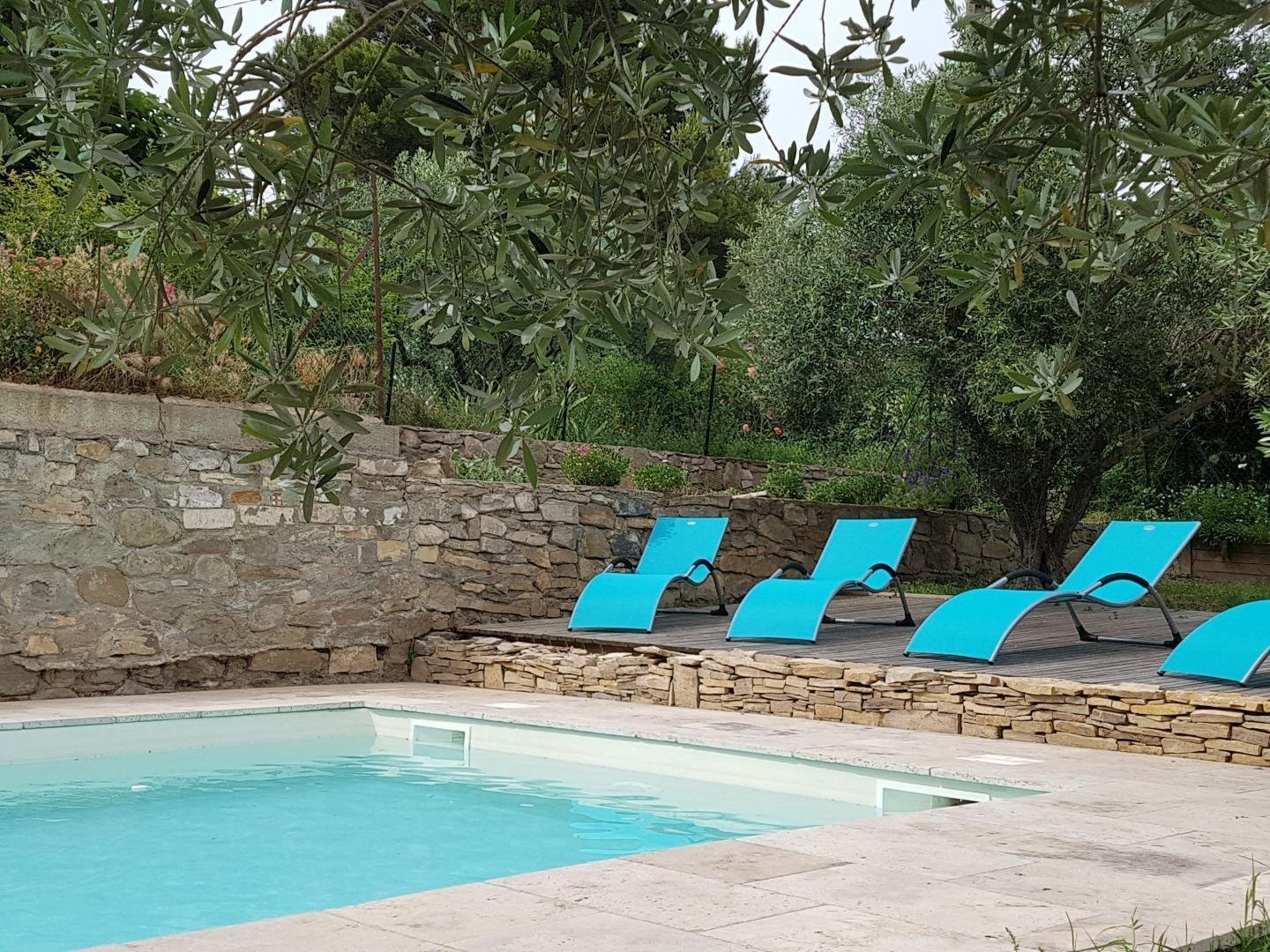 Sudfrance.fr - Le goût du Sud : vin, miel et olive – Expérience sensorielle en terroir méditerranéen