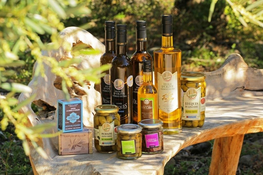Sudfrance.fr - Le goût du Sud : vin, miel et olive – Expérience sensorielle en terroir méditerranéen