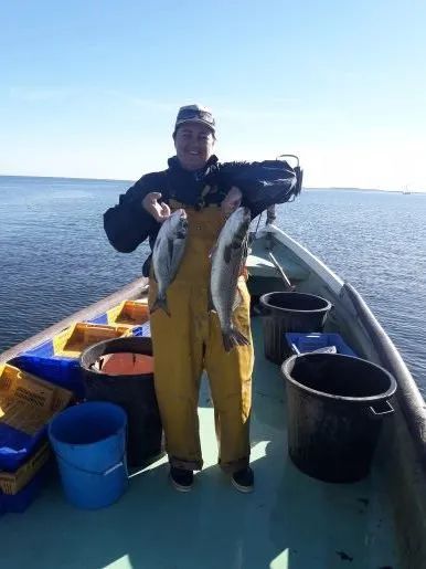 Sudfrance.fr - Small-scale fishing on the Thau lagoon