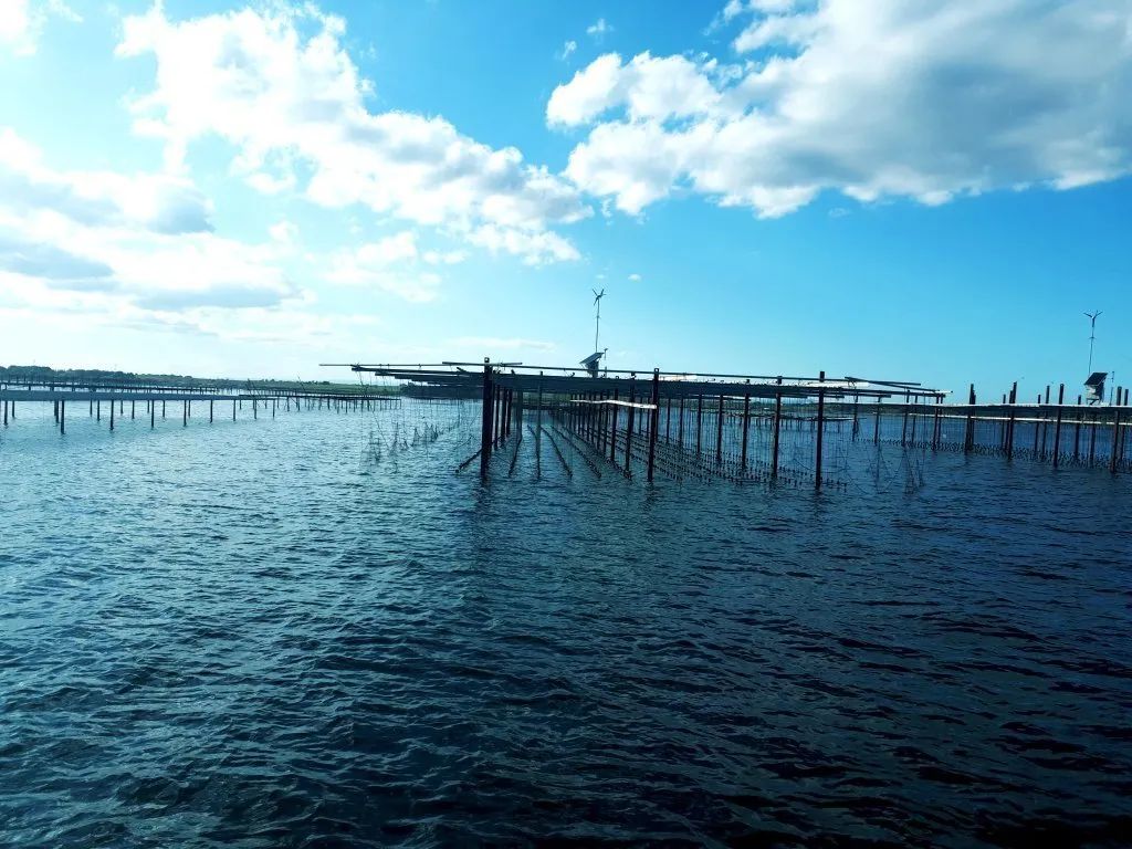 Sudfrance.fr - Small-scale fishing on the Thau lagoon