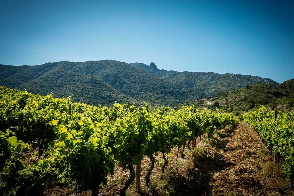Sudfrance.fr - Journée pain, vin et patrimoine à Cucugnan pour groupes