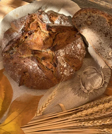 Sudfrance.fr - Du pain et du vin à Cucugnan