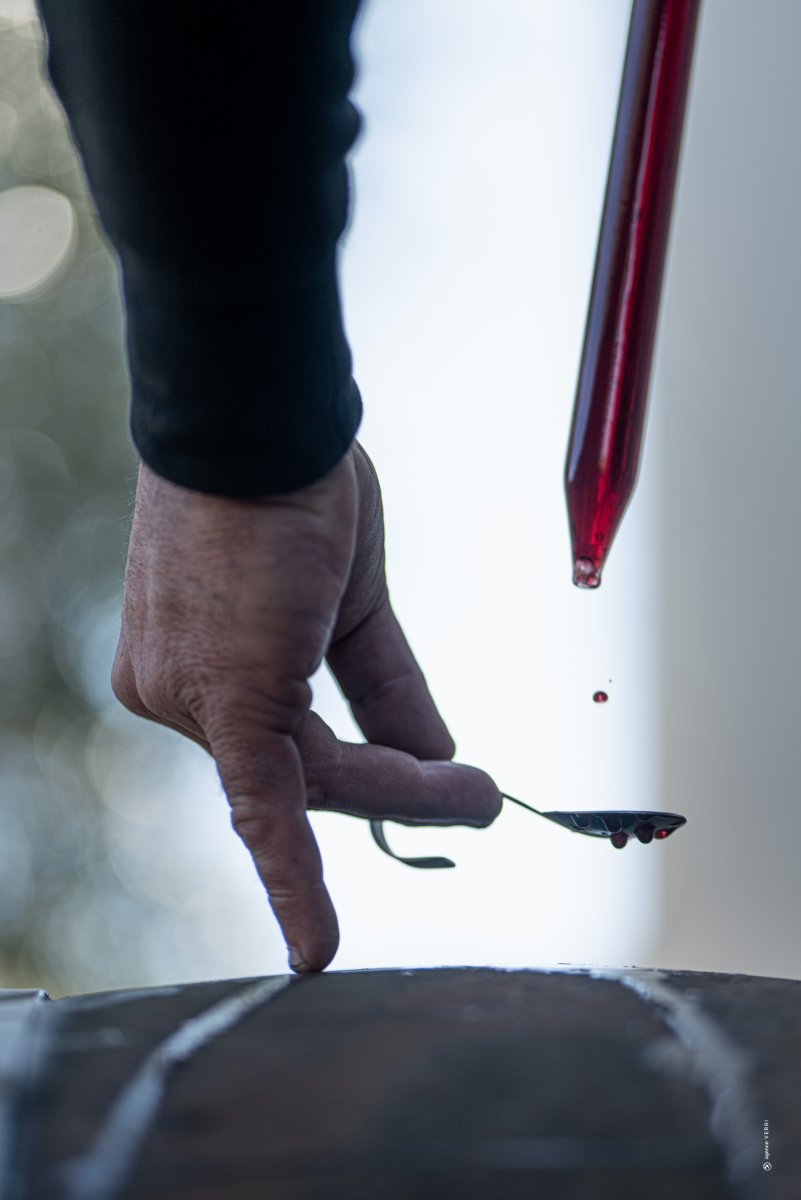 Sudfrance.fr - Escapade terroir et saveurs dans les Corbières