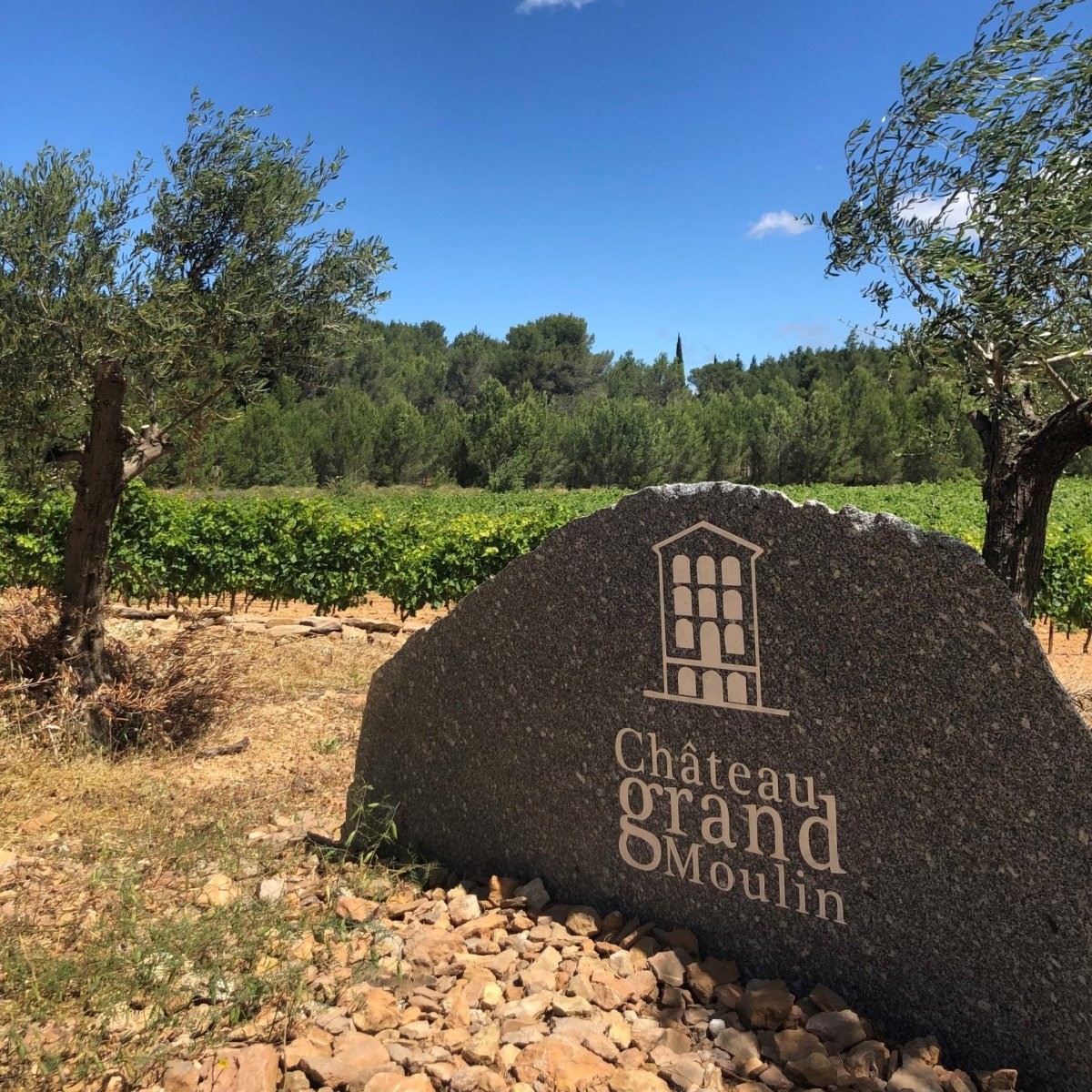 Sudfrance.fr - Escapade terroir et saveurs dans les Corbières