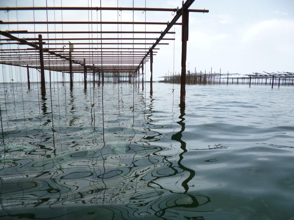 Sudfrance.fr - Journée groupe évasion autour du bassin de Thau
