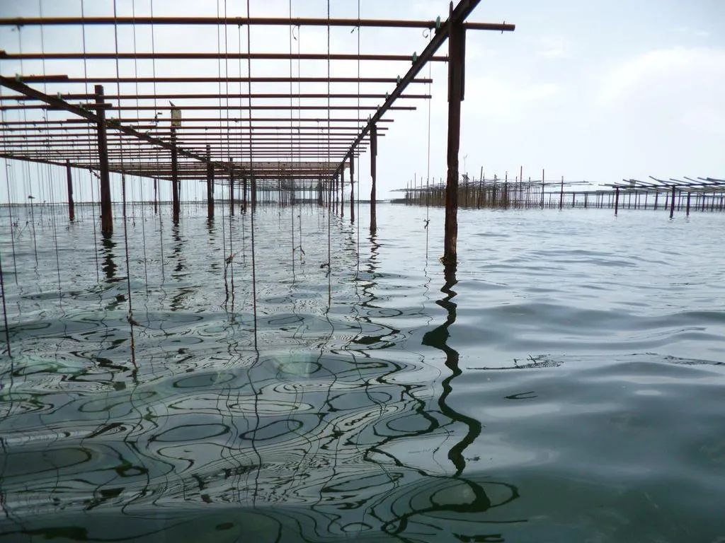Sudfrance.fr - Journée groupe évasion autour du bassin de Thau