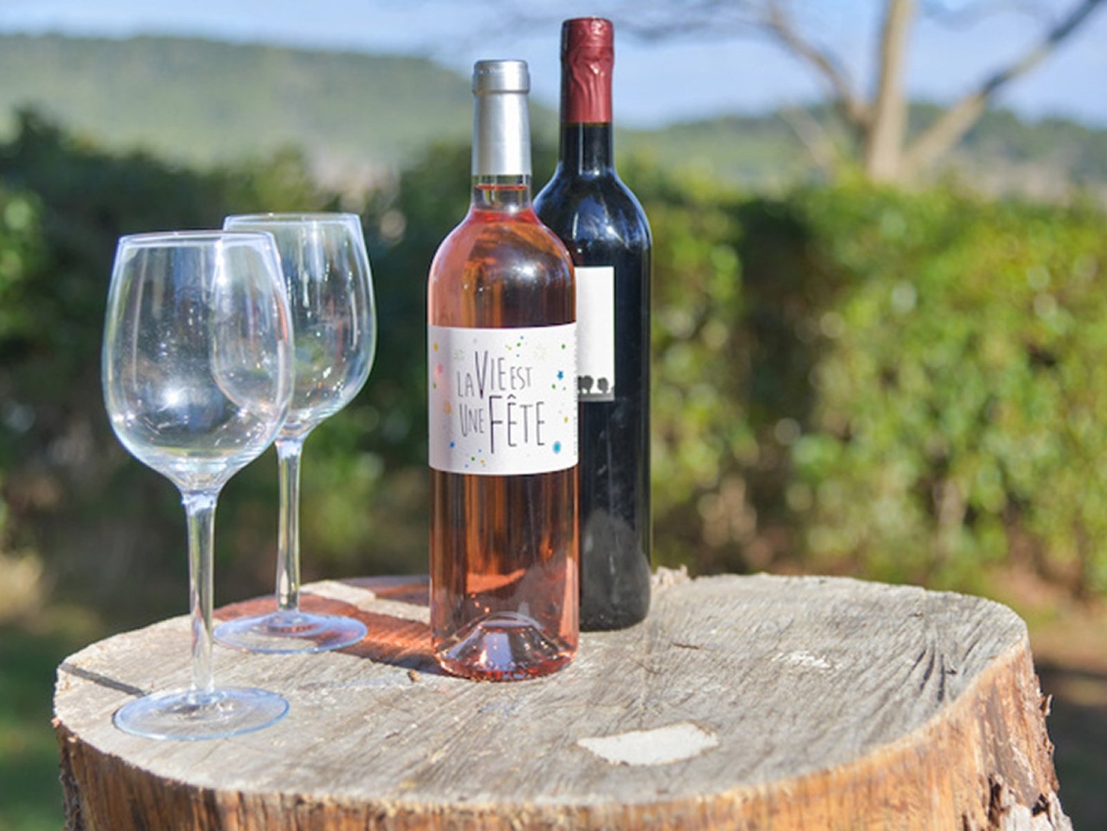 Sudfrance.fr - Séjour oenotourisme au coeur du Minervois