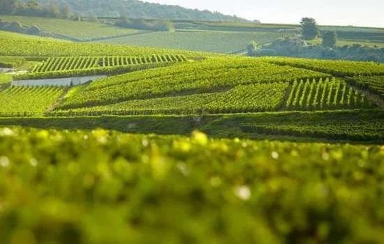 Sudfrance.fr - Escapade bien-être en oenolodge dans le Minervois