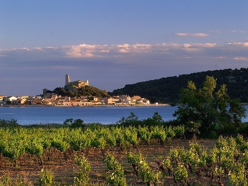 Sudfrance.fr - Escapade bien être : spa, vin et soleil en Narbonnaise