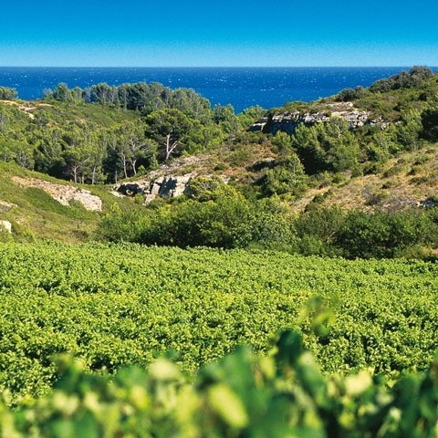 Sudfrance.fr - Escapade bien être : spa, vin et soleil en Narbonnaise