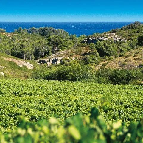 Sudfrance.fr - Week-end vin, bien-être en Narbonnaise
