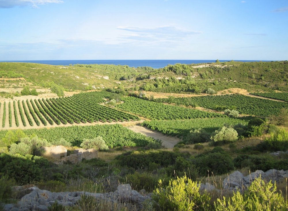 Sudfrance.fr - Escapade bien être : spa, vin et soleil en Narbonnaise