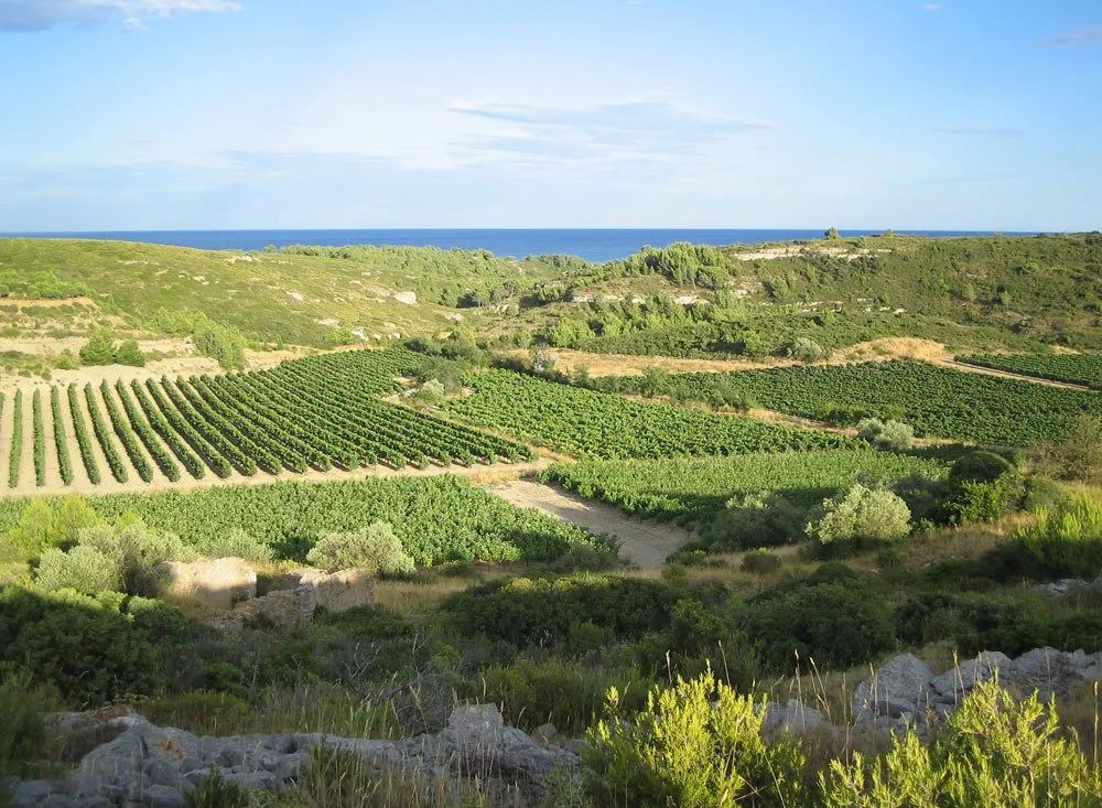 Sudfrance.fr - Week-end vin, bien-être en Narbonnaise