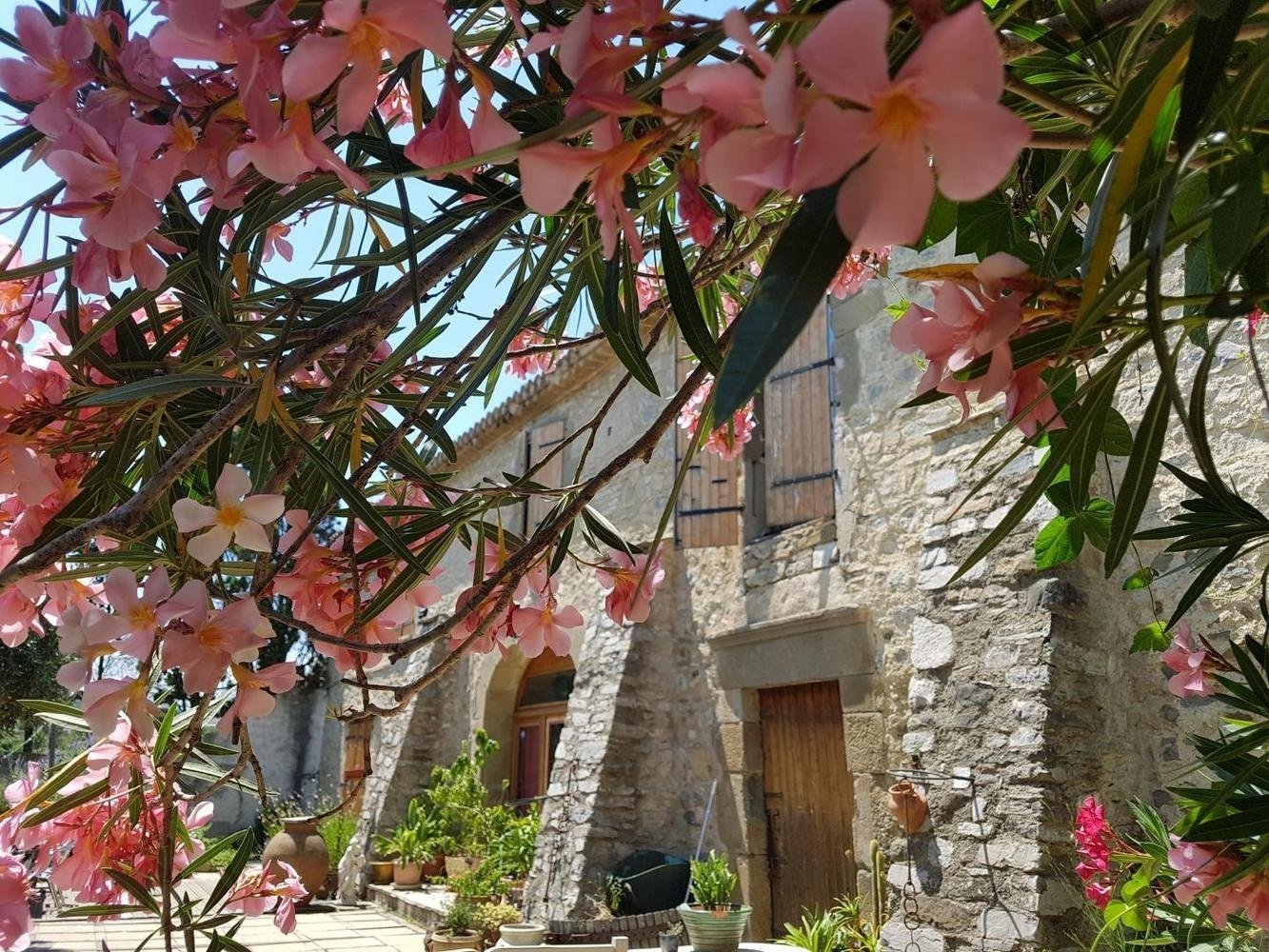 Sudfrance.fr - Escapade bien être : spa, vin et soleil en Narbonnaise