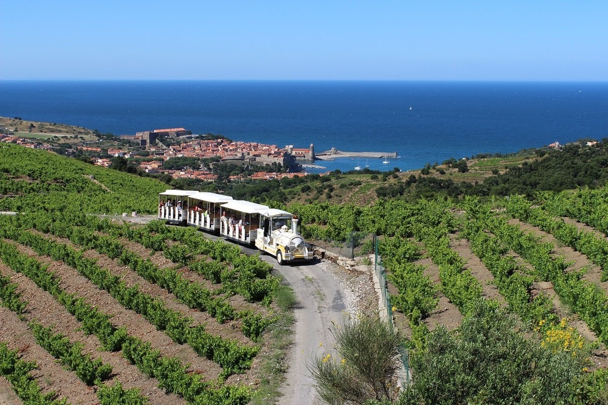 Sudfrance.fr - Croisière Port-Vendres et Collioure avec escale