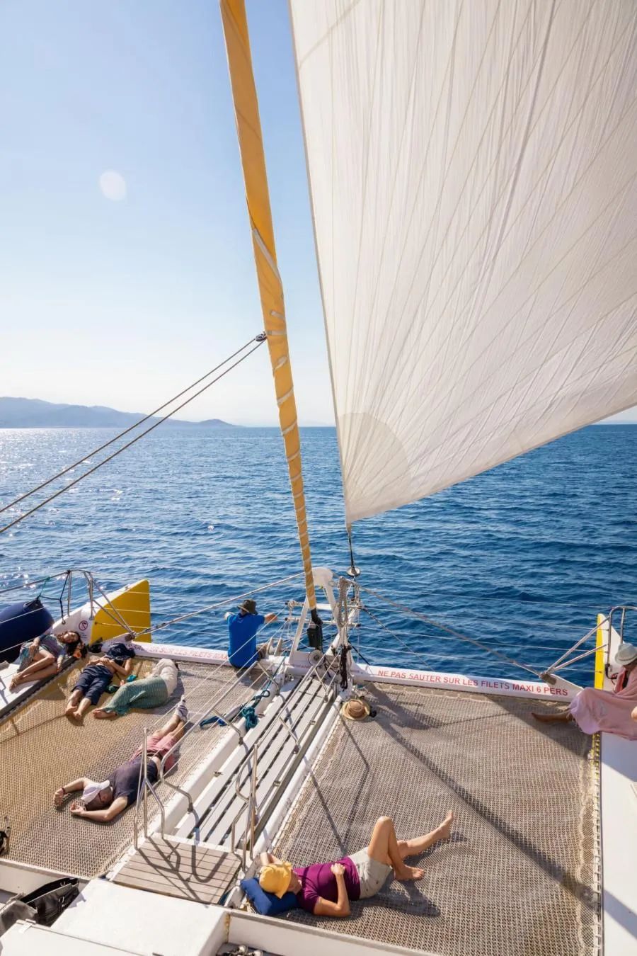 Sudfrance.fr - Observation des baleines et dauphins en Méditerranée