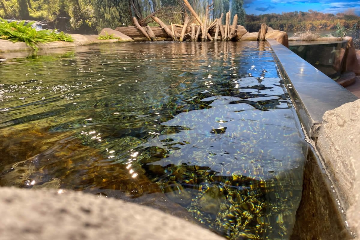 Sudfrance.fr - Visite aquarium Oniria, expérience sensorielle inoubliable