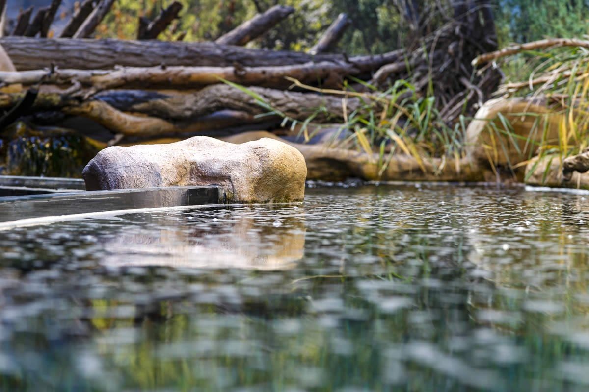 Sudfrance.fr - Visite aquarium Oniria, expérience sensorielle inoubliable