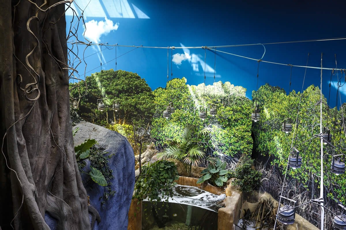 Sudfrance.fr - Visite aquarium Oniria, expérience sensorielle inoubliable