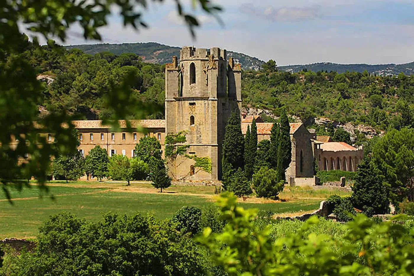 Sudfrance.fr - Vignerons en Scène : banquet insolite à Lagrasse