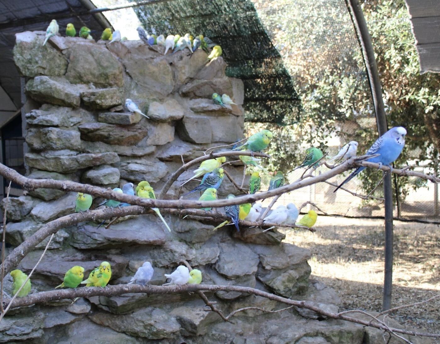 Sudfrance.fr - Visite dépaysante au Parc Australien près de Carcassonne