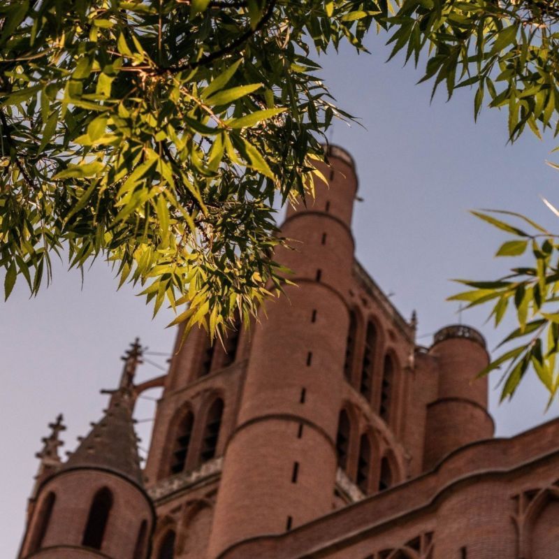 Patrimoine et culture tarnaise