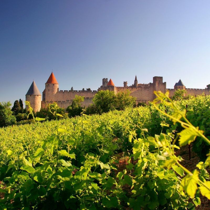  Saveurs et gastronomie audoise