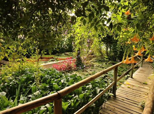 Visite des Jardins des Martels dans le Tarn