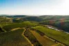 Aventure vigneronne en Corbières Maritimes