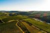 Aventure vigneronne en Corbières Maritimes