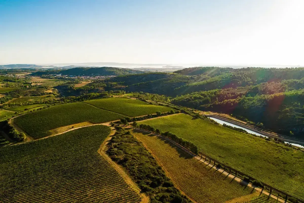 Aventure vigneronne en Corbières Maritimes