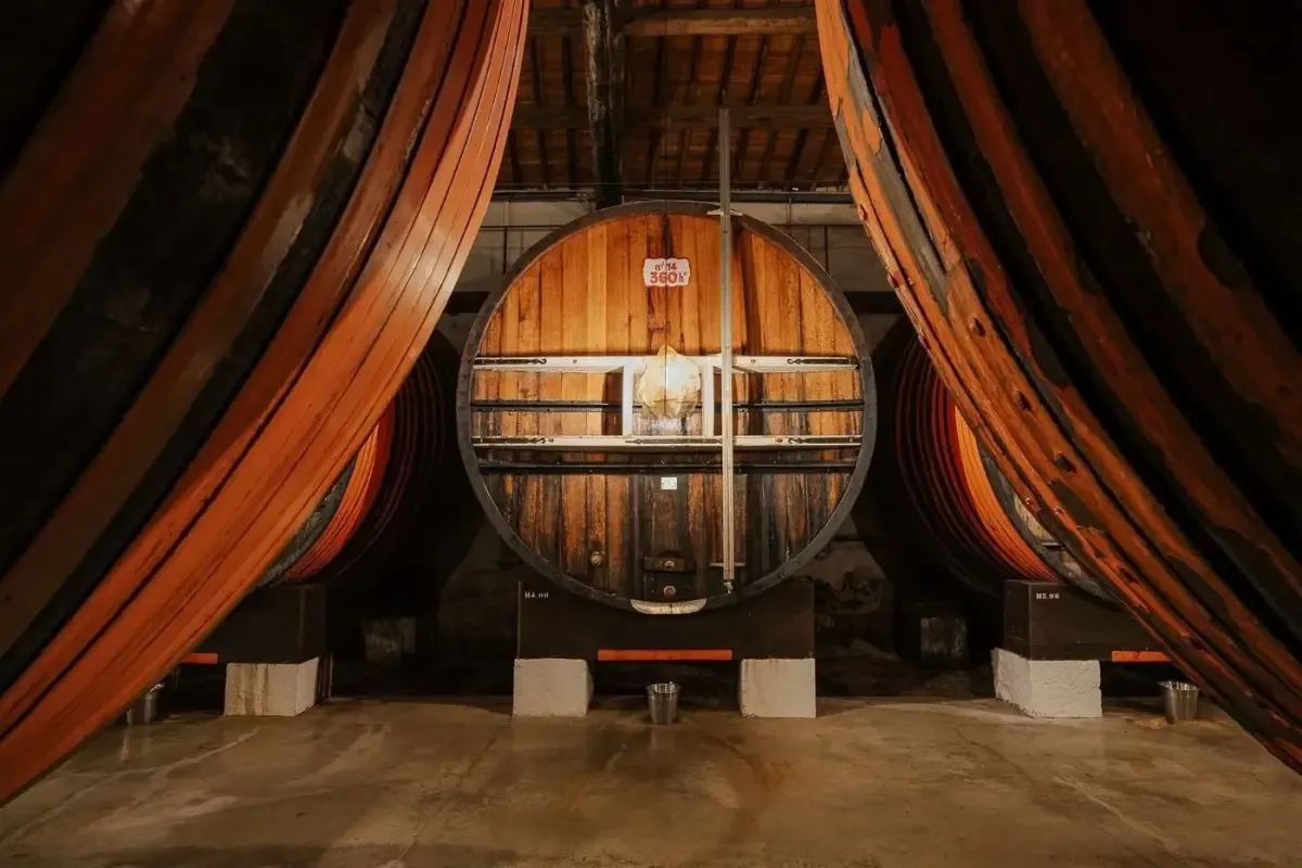 Visite du Chai de Noilly Prat