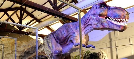 Visiter le musée des Dinosaures d'Esperaza