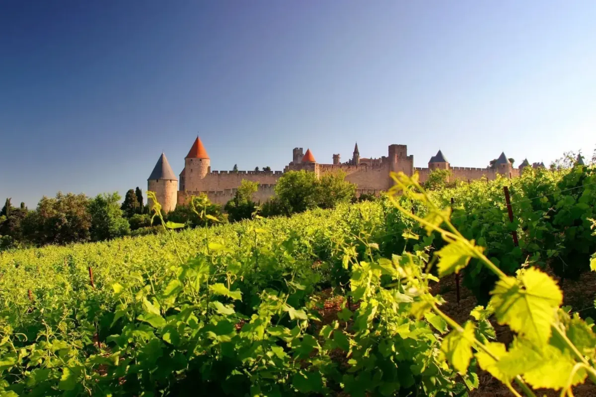 🌿 Sudfrance.fr, una cooperativa comprometida con un turismo responsable y humano en Occitania