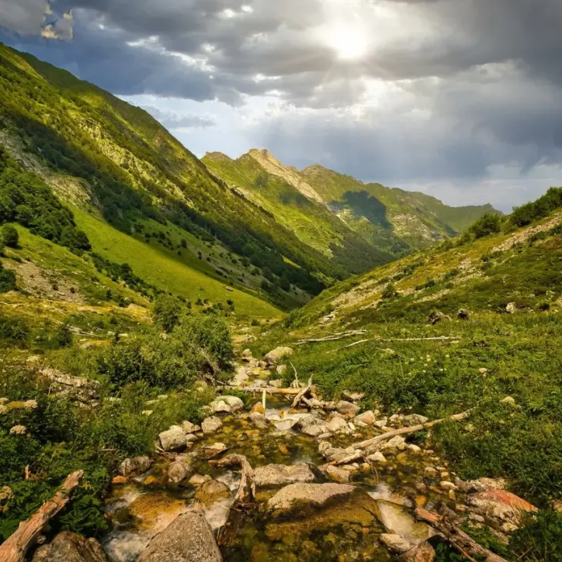Pyrenees