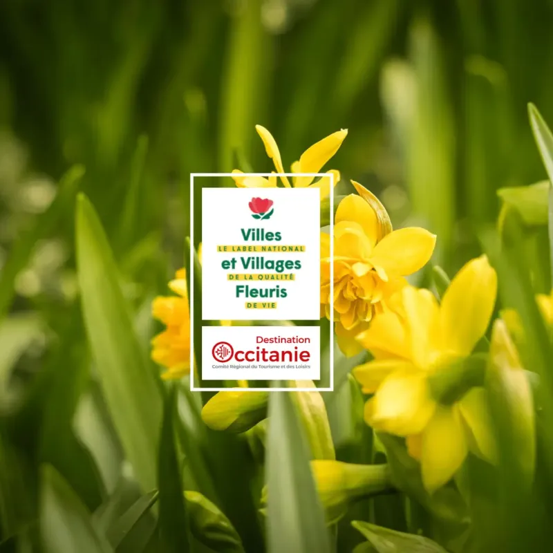 Sudfrance.fr, socio logístico del sello "Villes et Villages Fleuris" en Occitania