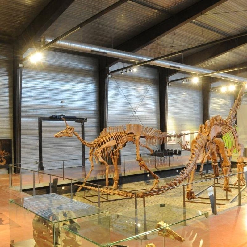 Pourquoi choisir le musée des dinosaures d'Espéraza pour votre prochaine sortie en famille ? 