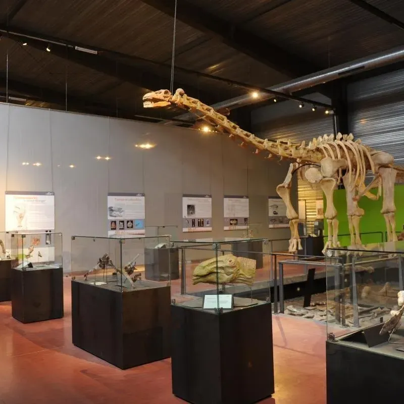  Dinosauria: Una inmersión en el corazón del museo de dinosaurios más grande de Francia 