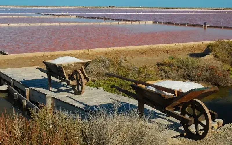 Admirer les reflets roses des Salins de l’Île Saint-Martin 