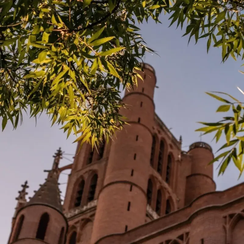 Patrimoine et culture tarnaise