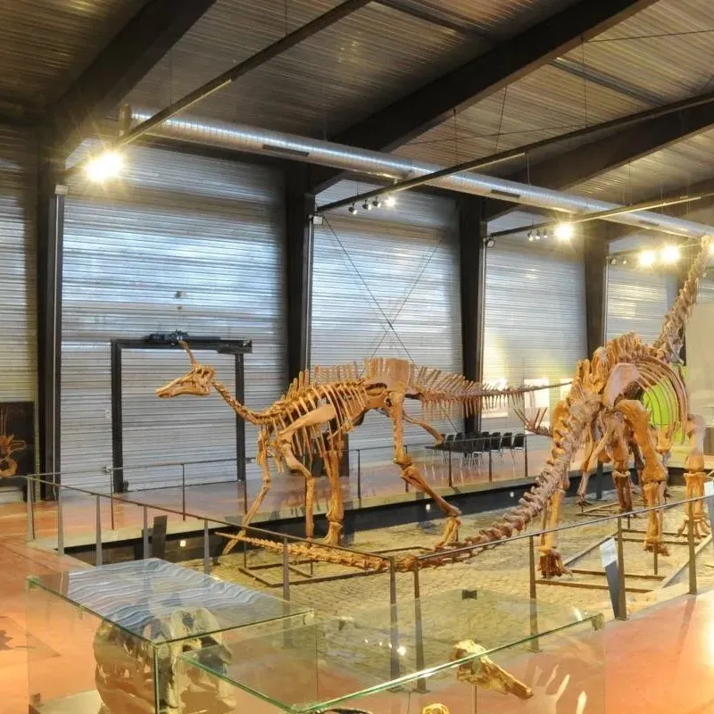  ¿Por qué elegir el museo de dinosaurios de Espéraza para su próxima salida en familia? 
