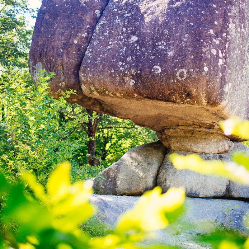  Tarn, terre de <strong>nature et d’aventure </strong>