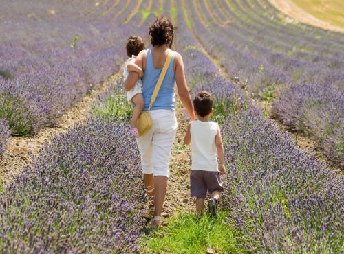 Visite à Besplas, terroir insoupçonné de la lavande